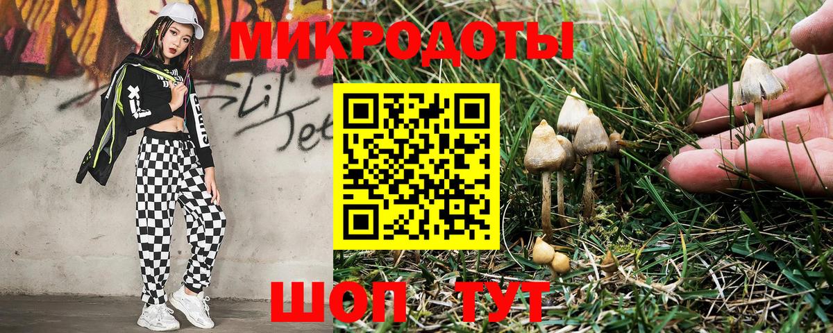Псилоцибиновые грибы Psilocybine cubensis Артёмовский